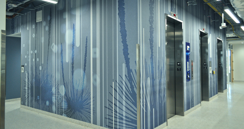 UTSA-SDSNCC-Wall-Graphics-1