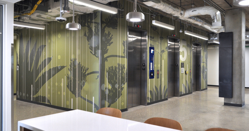 UTSA-SDSNCC-Wall-Graphics-5