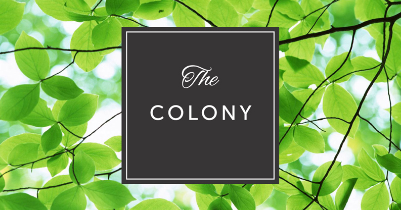 The Colony Brand Identity